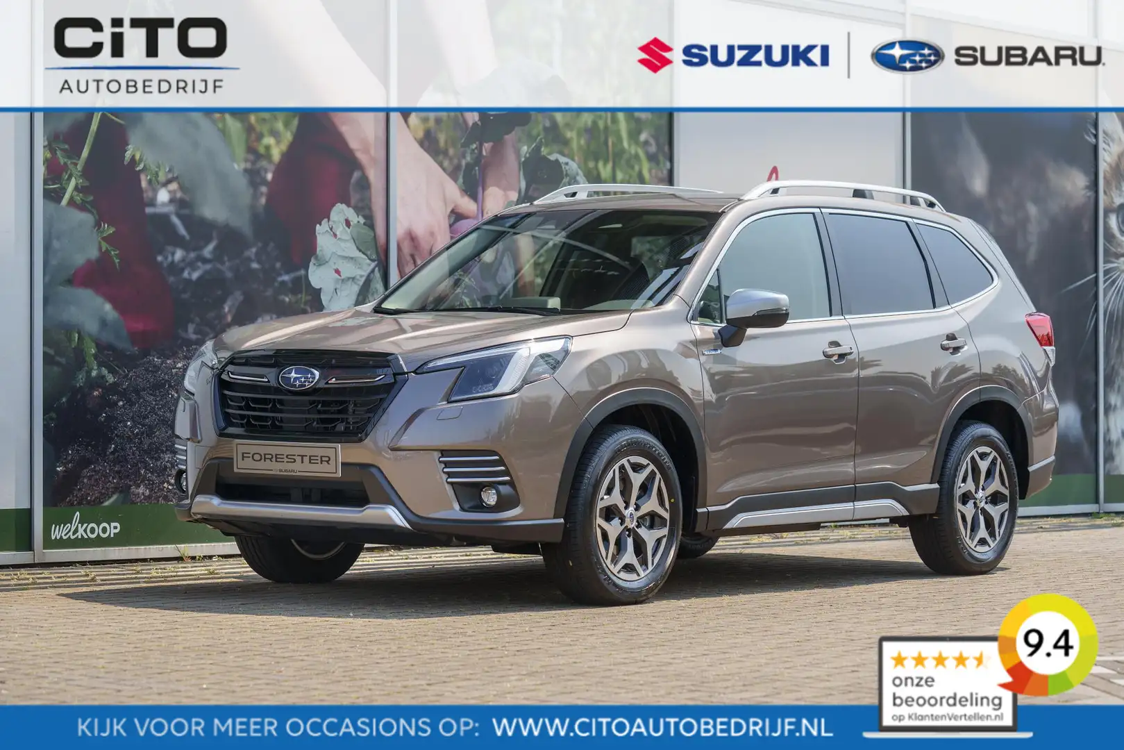 Subaru Forester 2.0 AWD Luxury Van | NIEUW | Grijs kenteken | Geen - 1