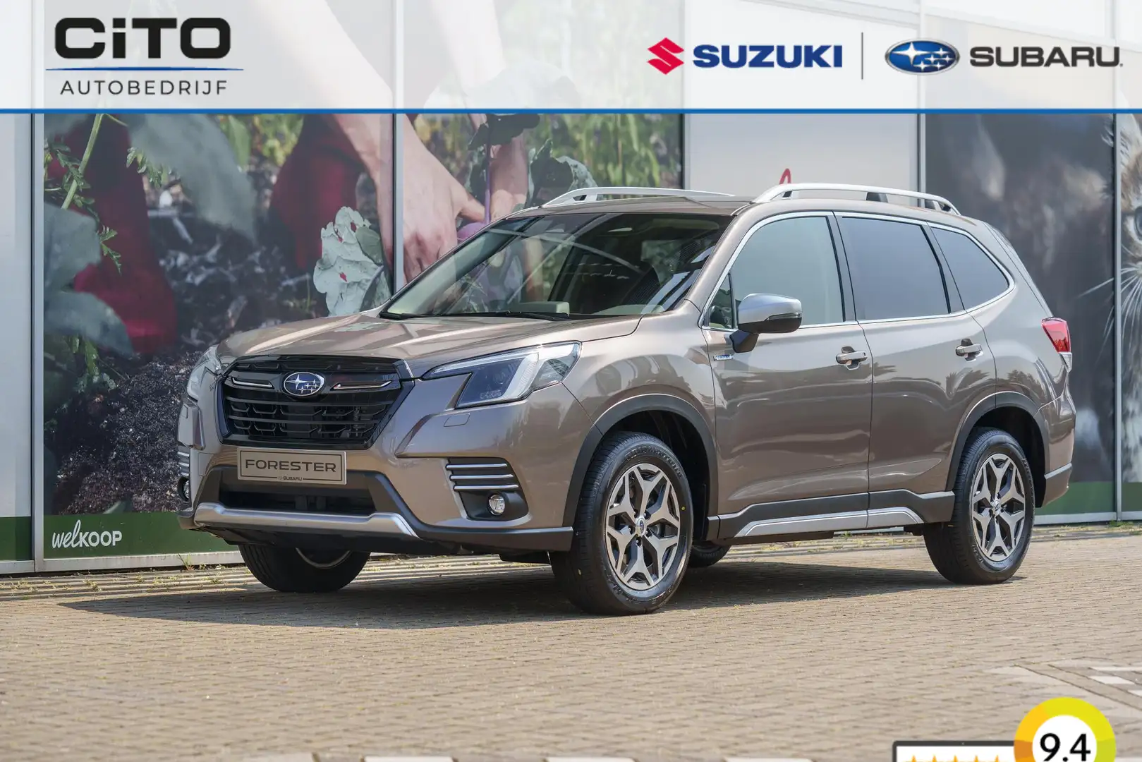 Subaru Forester 2.0 AWD Luxury Van | NIEUW | Grijs kenteken | Geen - 1