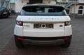Land Rover Range Rover Evoque Blanc - thumbnail 6