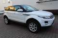 Land Rover Range Rover Evoque Blanc - thumbnail 2