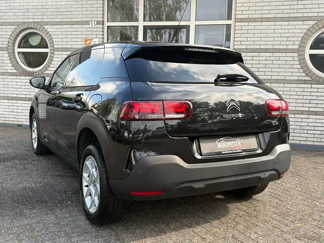 Citroen C4 Cactus view 4