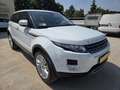 Land Rover Range Rover Evoque Range Rover Evoque 5p 2.2 td4 Prestige 150cv Bianco - thumbnail 1