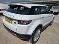 Land Rover Range Rover Evoque Range Rover Evoque 5p 2.2 td4 Prestige 150cv Bianco - thumbnail 3
