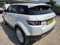 Land Rover Range Rover Evoque Range Rover Evoque 5p 2.2 td4 Prestige 150cv Bianco - thumbnail 4