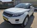 Land Rover Range Rover Evoque Range Rover Evoque 5p 2.2 td4 Prestige 150cv Bianco - thumbnail 2