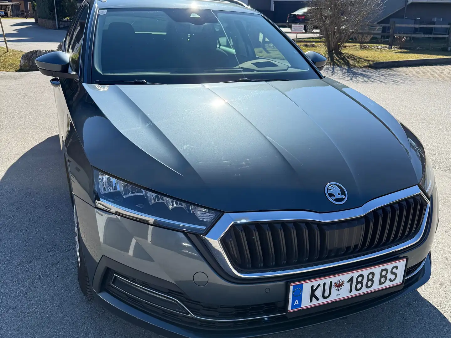 Skoda Octavia DSG Panorama Grau - 2