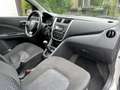 Suzuki Celerio 1.0 Comfort l Airco Grau - thumbnail 10
