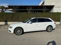 Audi A4 A4 Avant 2.0 tdi Advanced 143cv Bianco - thumbnail 1