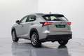 Lexus NX 300 300h Executive 4WD Tecno + Navibox Grau - thumbnail 9