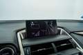 Lexus NX 300 300h Executive 4WD Tecno + Navibox Grau - thumbnail 27