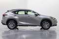 Lexus NX 300 300h Executive 4WD Tecno + Navibox Grau - thumbnail 7