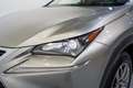 Lexus NX 300 300h Executive 4WD Tecno + Navibox Grau - thumbnail 10
