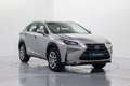 Lexus NX 300 300h Executive 4WD Tecno + Navibox Grau - thumbnail 3