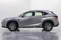 Lexus NX 300 300h Executive 4WD Tecno + Navibox Grau - thumbnail 8