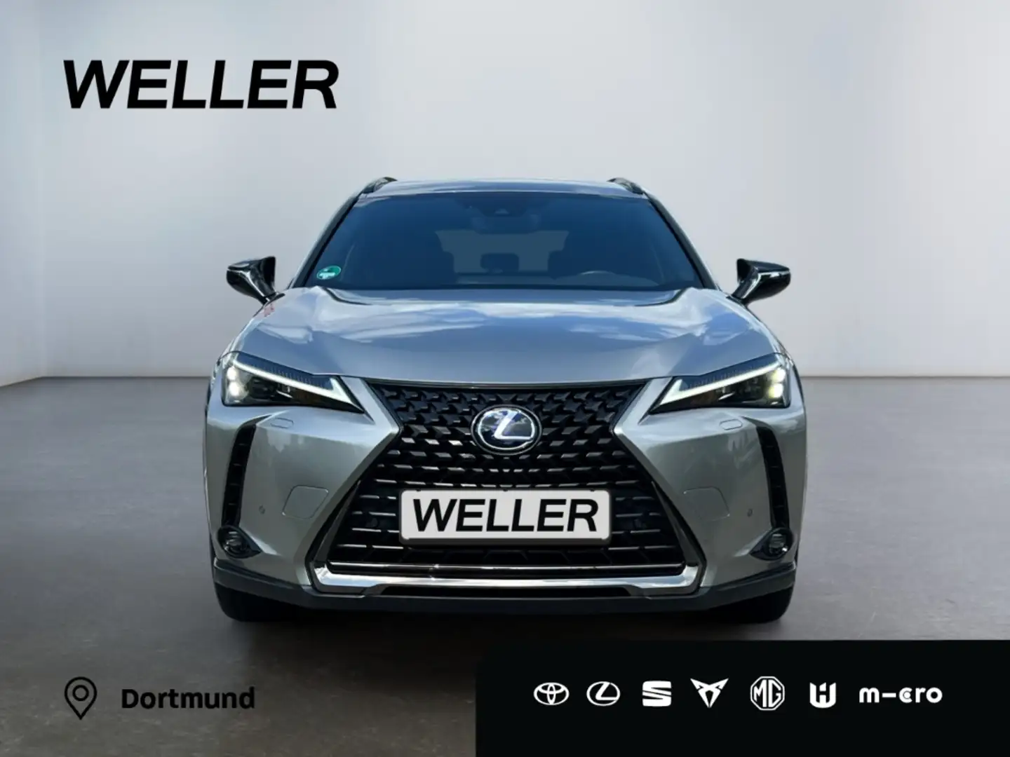 Lexus UX 250h Style+ Edition *LED*CarPlay*CAM*SHZ*TWA* Silber - 2