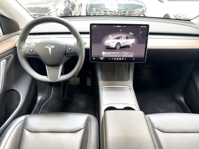 Tesla Model Y view 9