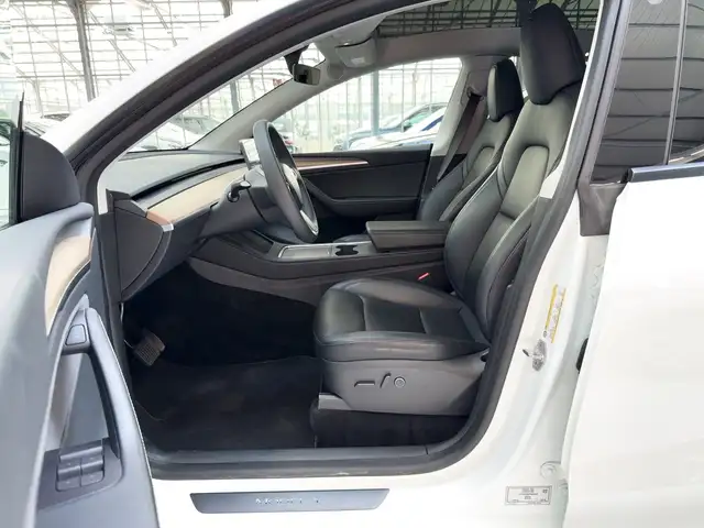 Tesla Model Y view 8