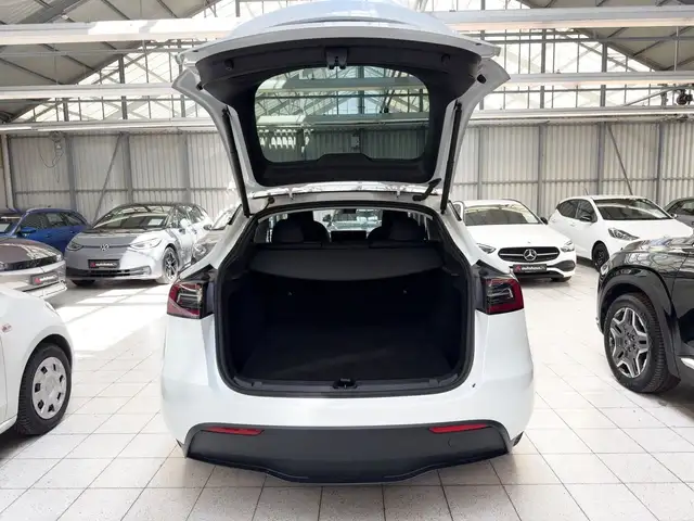 Tesla Model Y view 6