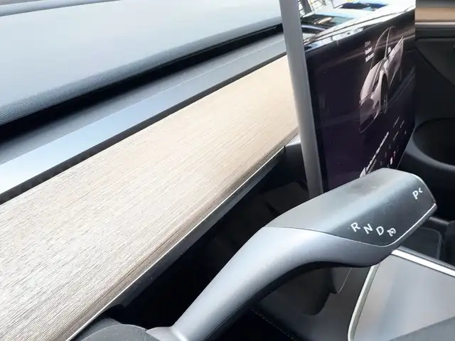 Tesla Model Y view 13
