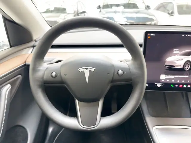 Tesla Model Y view 10