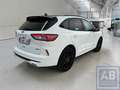 Ford Kuga * ST Line X / Black Edition / PHEV  / Demowagen * Weiß - thumbnail 3
