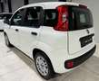Fiat Panda 1.0i 70CV !! 40.000KM !! AiRCO BLUETOOTH CiTY +OPT Blanco - thumbnail 2