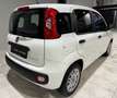 Fiat Panda 1.0i 70CV !! 40.000KM !! AiRCO BLUETOOTH CiTY +OPT Blanco - thumbnail 4