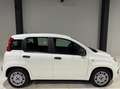 Fiat Panda 1.0i 70CV !! 40.000KM !! AiRCO BLUETOOTH CiTY +OPT Blanco - thumbnail 7