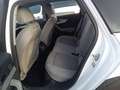 Audi A4 allroad 40 TDI quattro S-Tronic 150kW Bianco - thumbnail 9