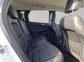 Ford Kuga Plug-In Hybrid Titanium X Weiß - thumbnail 17