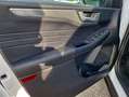Ford Kuga Plug-In Hybrid Titanium X Weiß - thumbnail 13