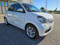 smart forFour 70 1.0 Passion Blanco - thumbnail 8