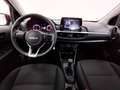 Kia Picanto 1.0 12V 5 porte Urban Arancione - thumbnail 4