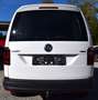 Volkswagen Caddy Caddy Maxi Kastenwagen 2,0 TDI 4MOTION DSG Blanc - thumbnail 5