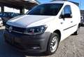 Volkswagen Caddy Caddy Maxi Kastenwagen 2,0 TDI 4MOTION DSG Blanc - thumbnail 1