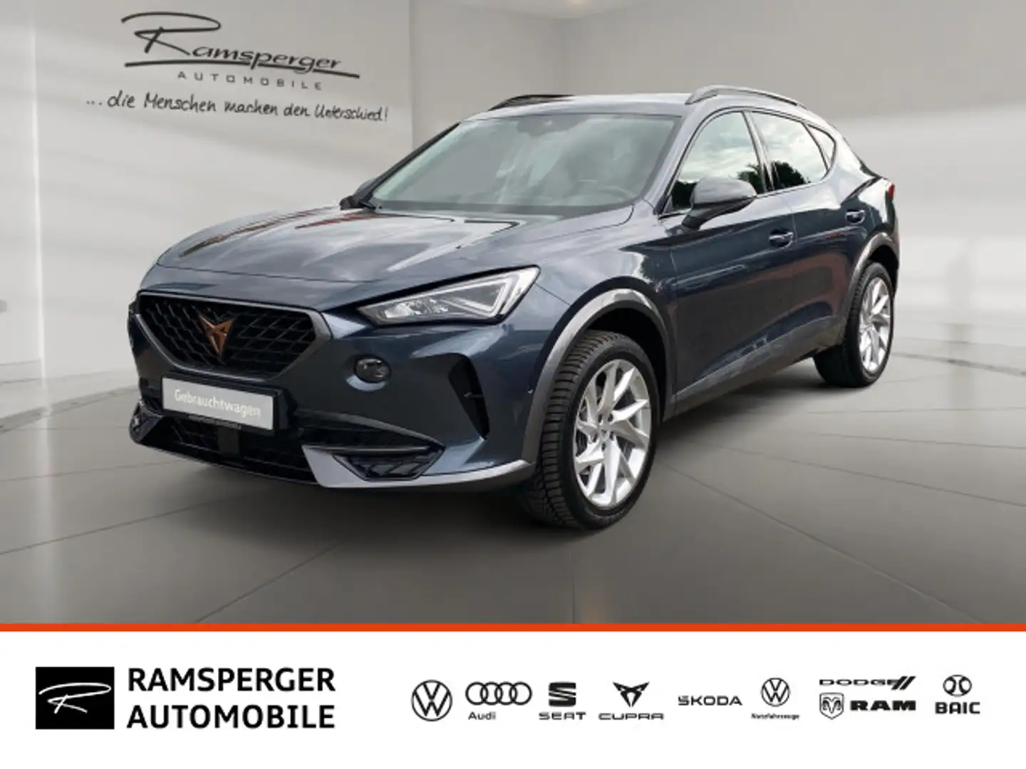 CUPRA Formentor 1.5 TSI LED/Navi/Assist/DAB/uvm. Grigio - 1