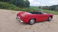 MG Midget - thumbnail 2