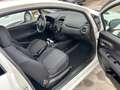 Fiat Punto Punto 1.3 mjt 75cv AUTOCARRO 2 POSTI*PREZZO + IVA Bianco - thumbnail 13