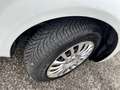 Fiat Punto Punto 1.3 mjt 75cv AUTOCARRO 2 POSTI*PREZZO + IVA Bianco - thumbnail 7