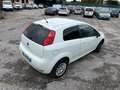 Fiat Punto Punto 1.3 mjt 75cv AUTOCARRO 2 POSTI*PREZZO + IVA Bianco - thumbnail 5