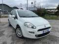 Fiat Punto Punto 1.3 mjt 75cv AUTOCARRO 2 POSTI*PREZZO + IVA Bianco - thumbnail 1