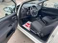 Fiat Punto Punto 1.3 mjt 75cv AUTOCARRO 2 POSTI*PREZZO + IVA Bianco - thumbnail 8