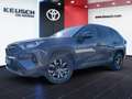 Toyota RAV 4 RAV 4 - 2,5 l Hyb 4x2 Active Drive CVT Grau - thumbnail 2