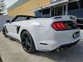 Ford Mustang Convertible 5.0 Ti-VCT GT Aut. Blanc - thumbnail 17