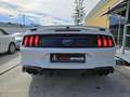 Ford Mustang Convertible 5.0 Ti-VCT GT Aut. Blanc - thumbnail 15