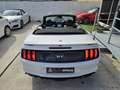 Ford Mustang Convertible 5.0 Ti-VCT GT Aut. Blanc - thumbnail 14