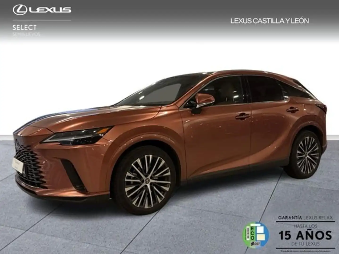 Lexus RX 350 350h Executive Braun - 1