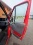 Ford Transit FT 300 L Variobus 4.36 Basis - thumbnail 11