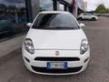 Fiat Punto 1.2 8V 5P Street GPL - PER NEOPAT - KM CERTIFIC Blanco - thumbnail 3