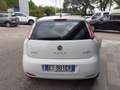 Fiat Punto 1.2 8V 5P Street GPL - PER NEOPAT - KM CERTIFIC Bianco - thumbnail 5